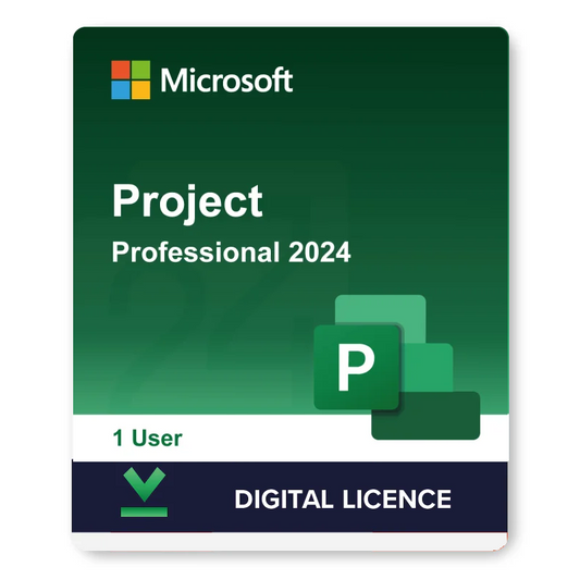 Microsoft Project 2024 Professional